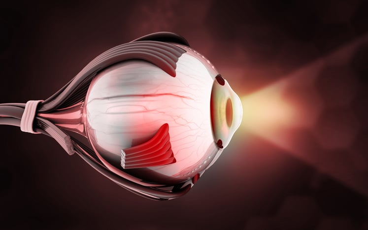 Eye eye anatomy eye disease vision disorder ophthalmology